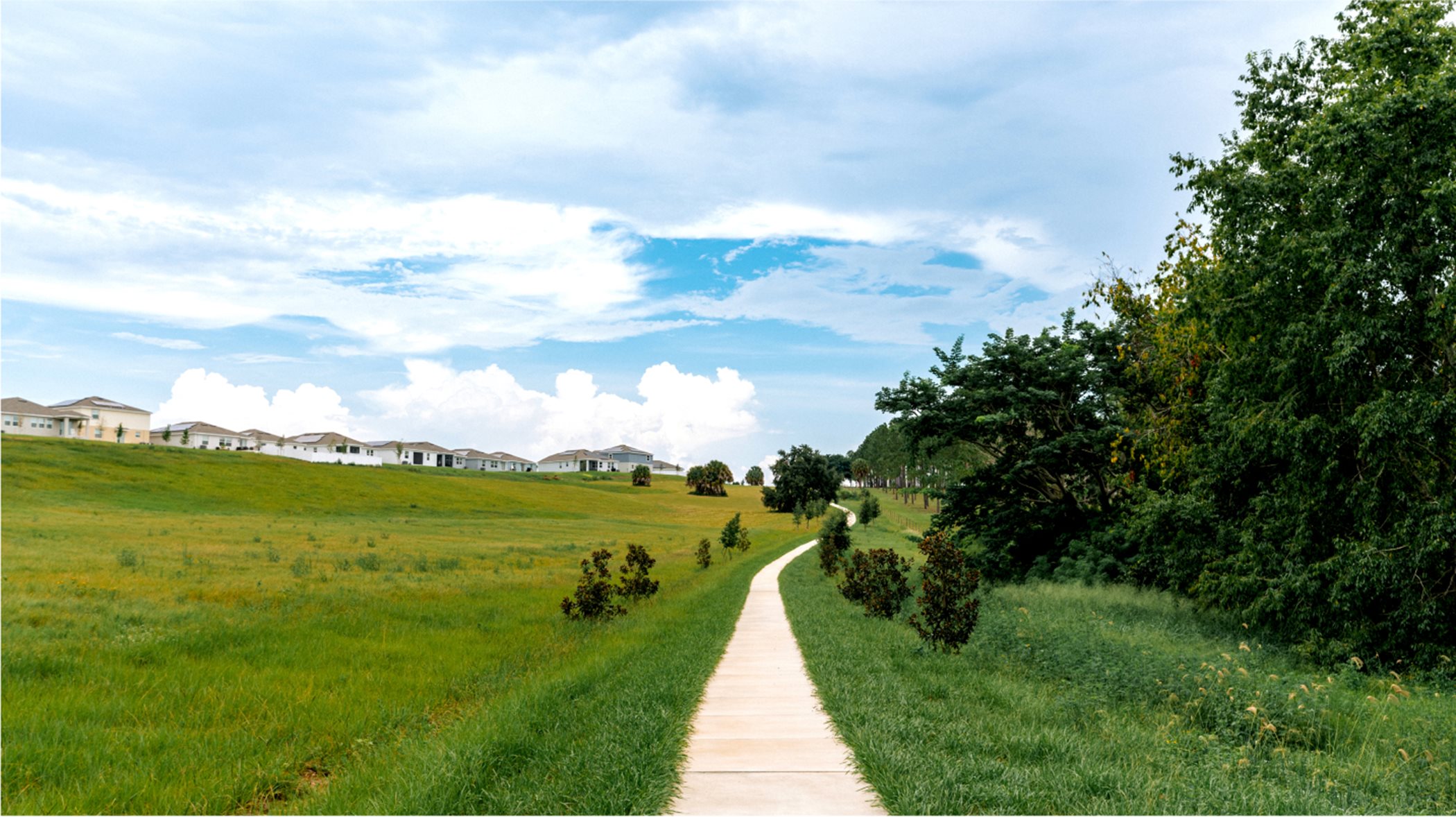 NEO Bellevue at Estates at Cherry Lake Lennar