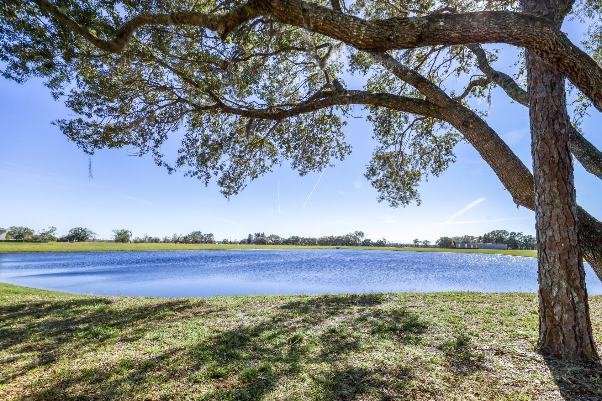 NEO Prairie Oaks Dream Finders Homes