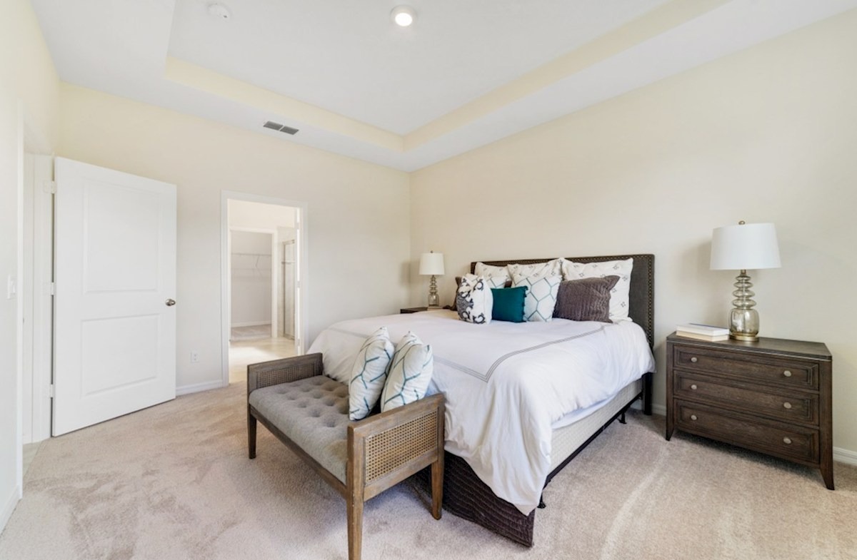 NEO Pennyroyal Cambridge