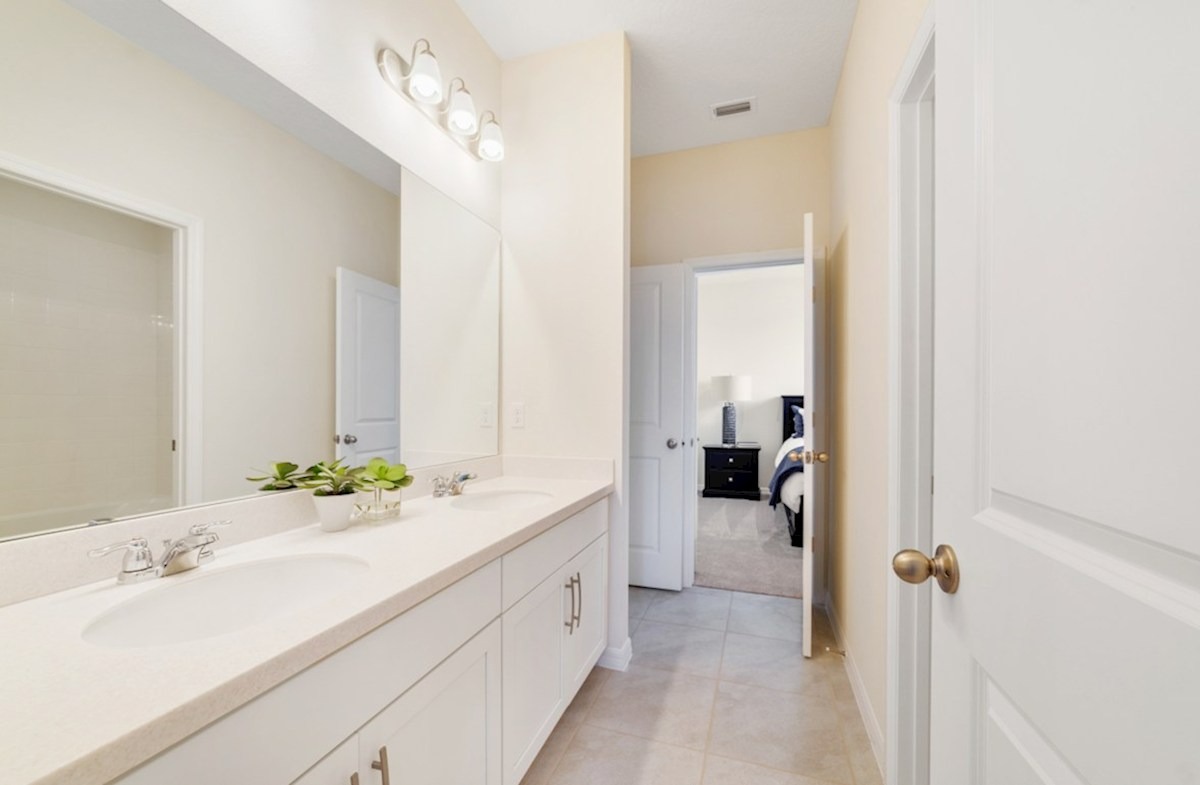 NEO Pennyroyal Cambridge