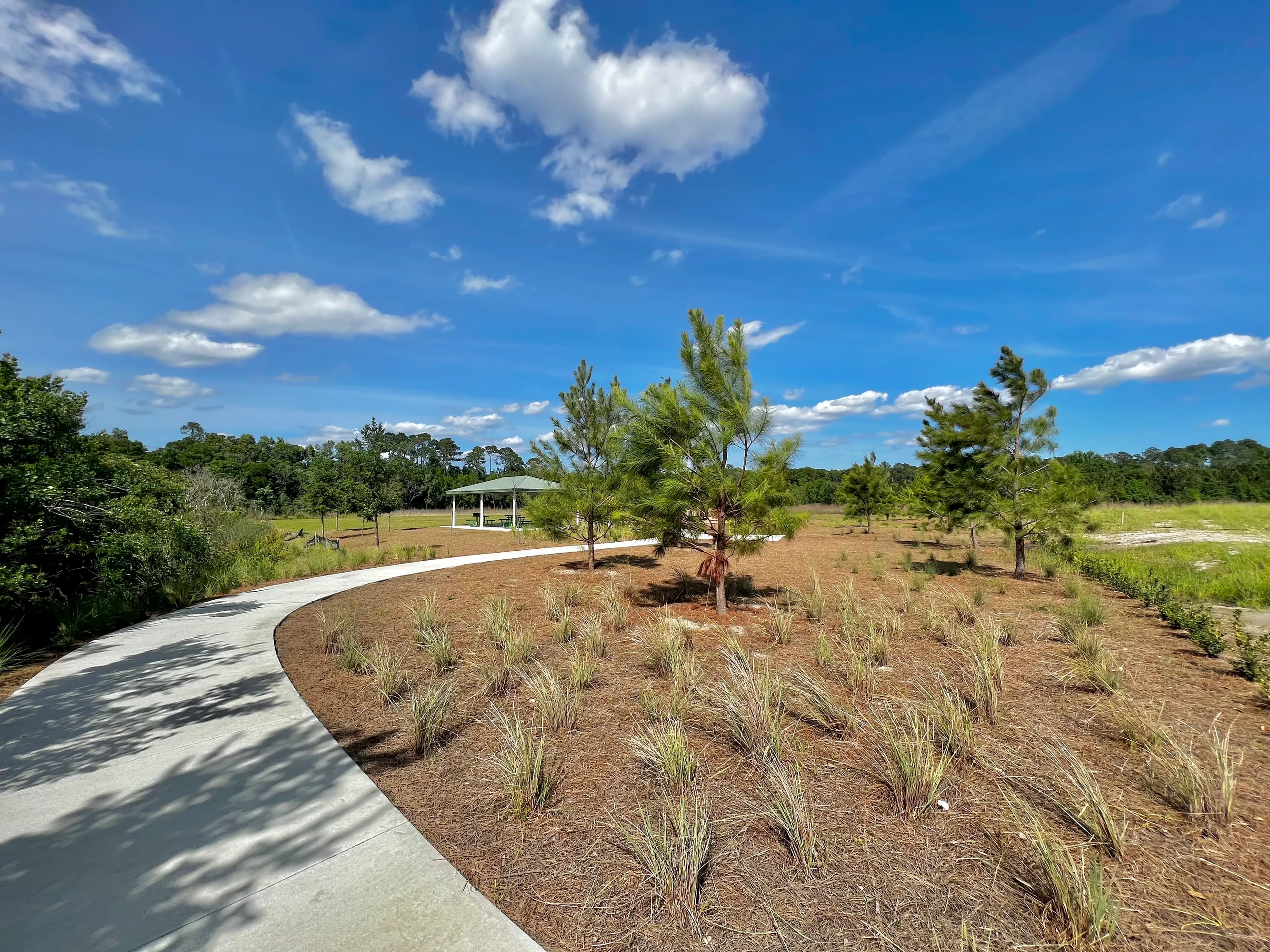 Project gallery image 9