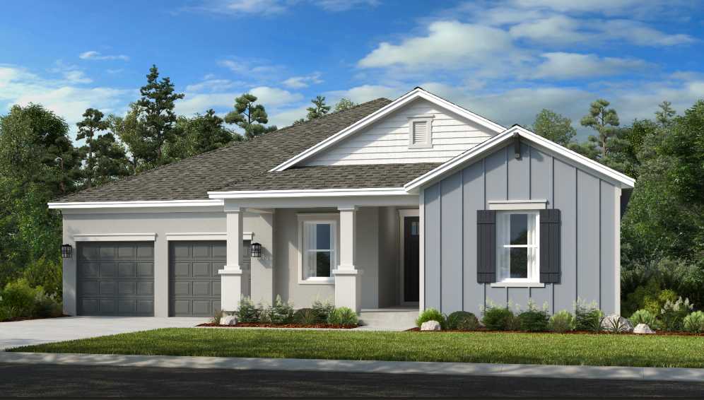 Project gallery image 3