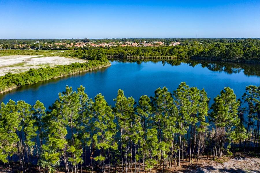 NEO Bent Pine Preserve GHO Homes