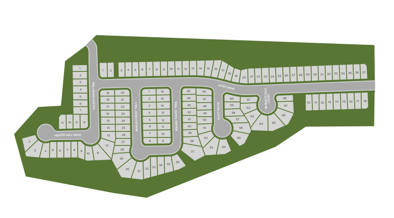 Lakes at Black Oak site plan