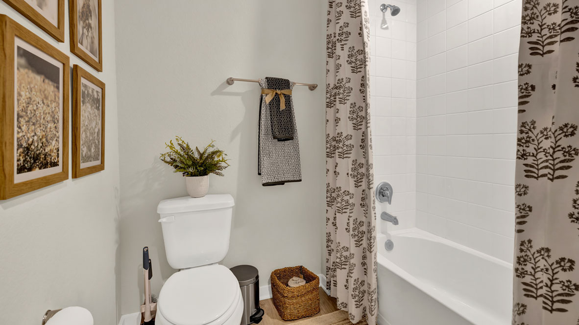 Project gallery image 5