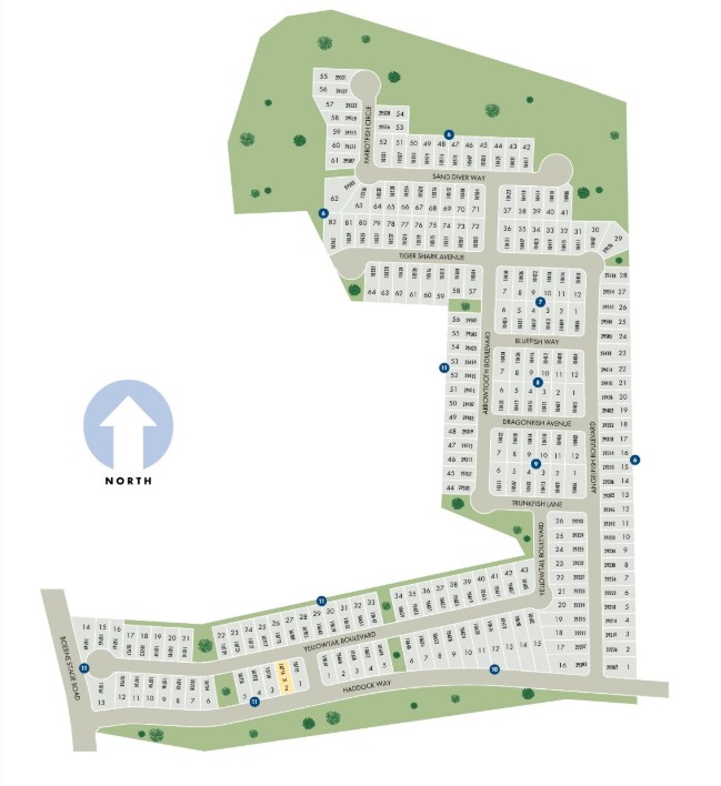 Fox Falls site plan