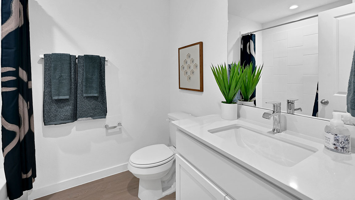 Project gallery image 16