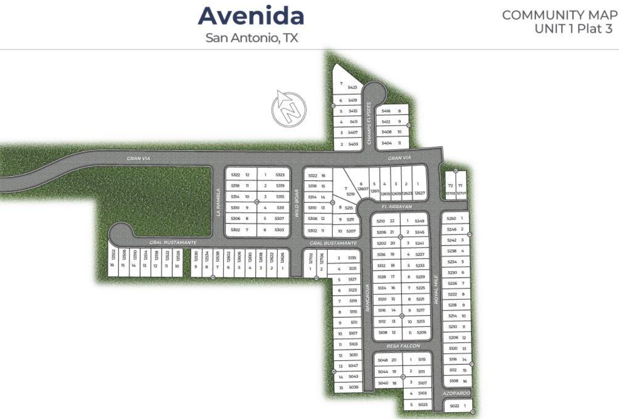 Avenida site plan