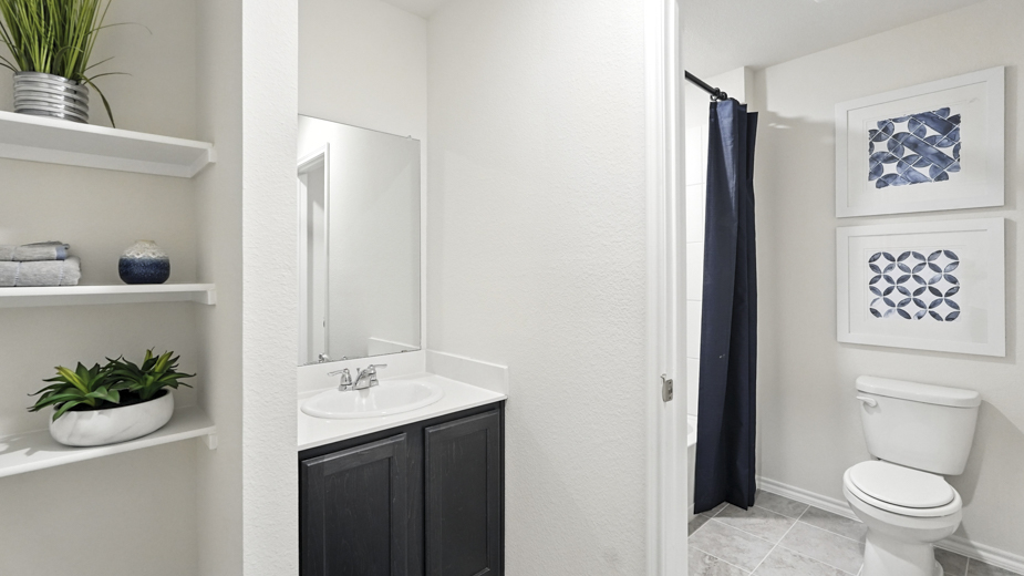 Project gallery image 15