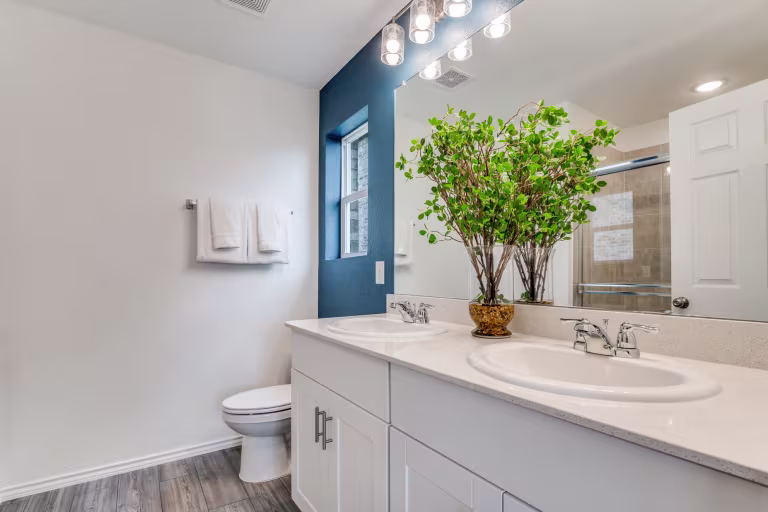 Project gallery image 4
