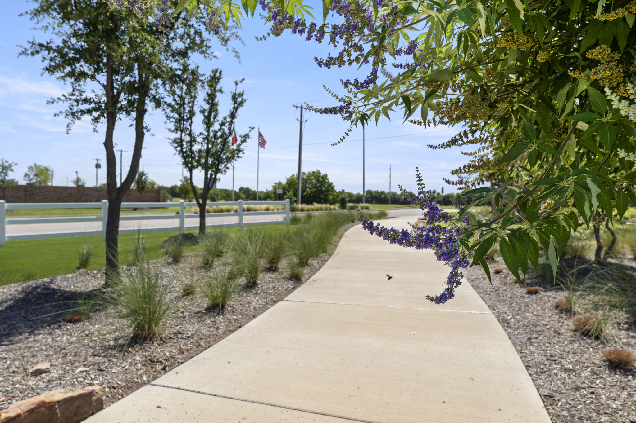 Project gallery image 19