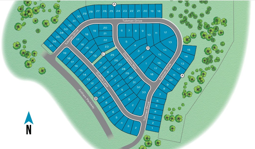 Anthem site plan
