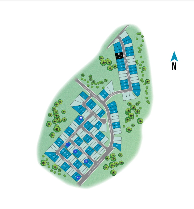 Colony at Pinehurst site plan