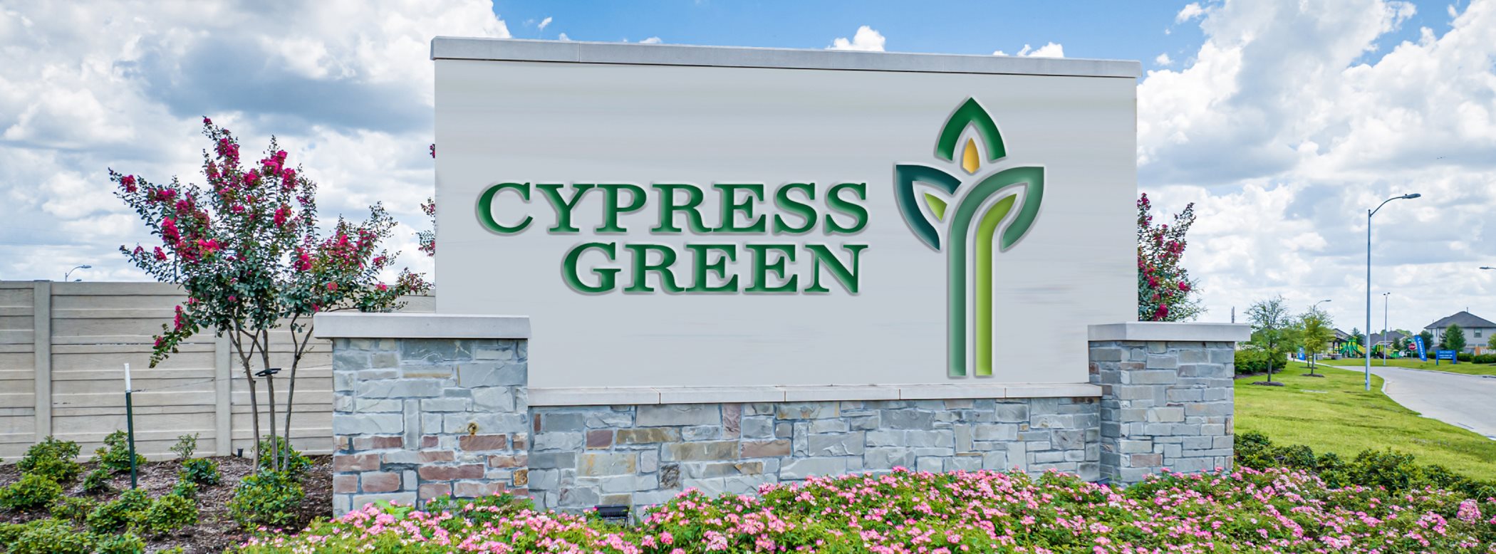 Cypress Green main image