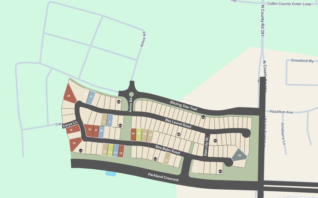 Trinity Falls 60' site plan