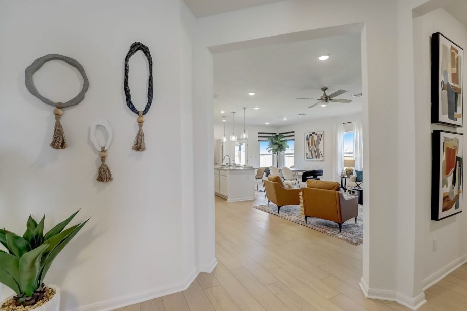 Project gallery image 6