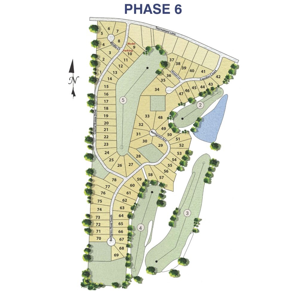 Windswept site plan