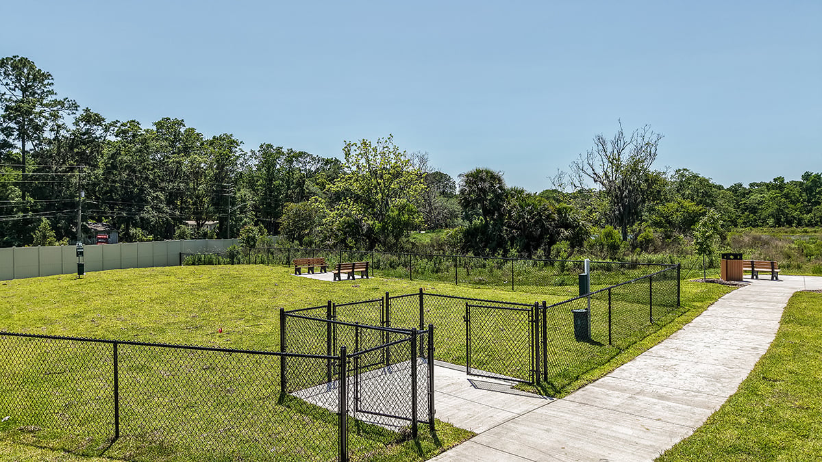Project gallery image 7