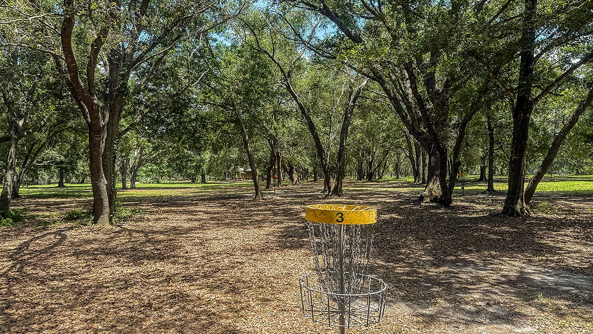 Project gallery image 6