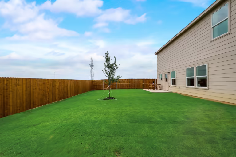 Project gallery image 5