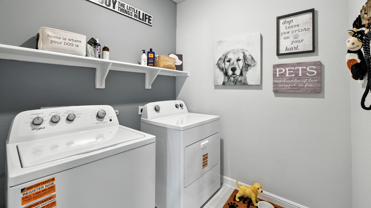 Project gallery image 26