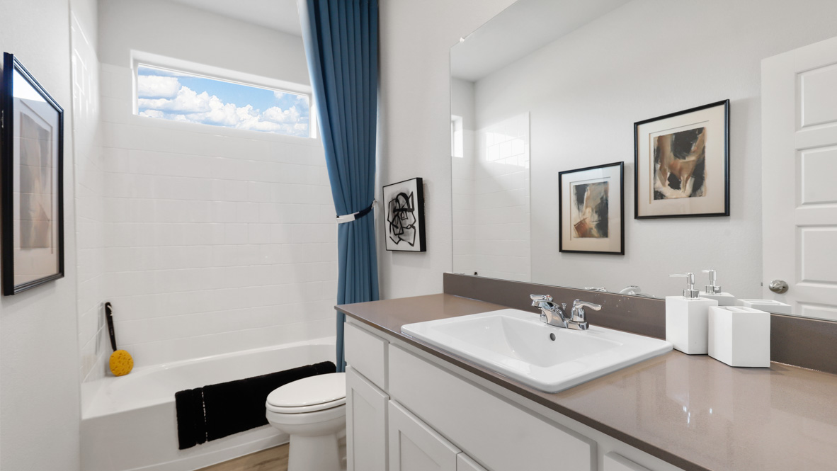 Project gallery image 12