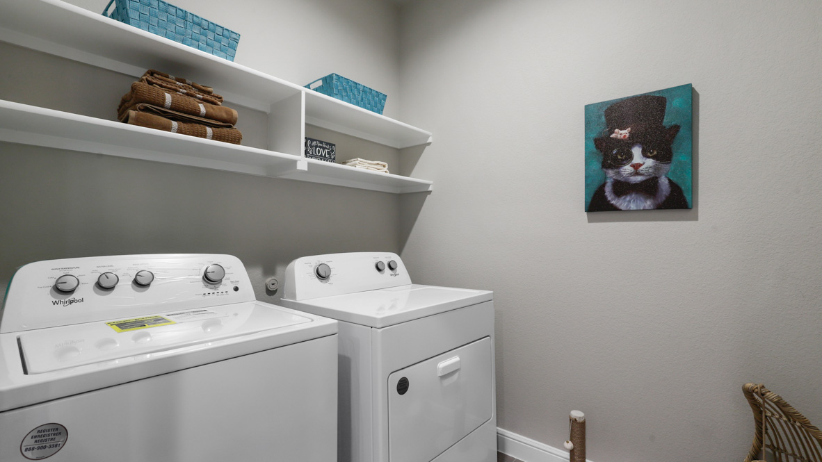 Project gallery image 16