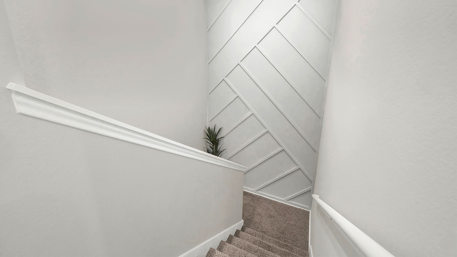 Project gallery image 18