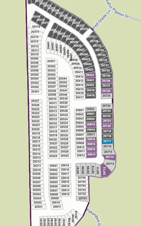 Paloma at Sanford Farms site plan