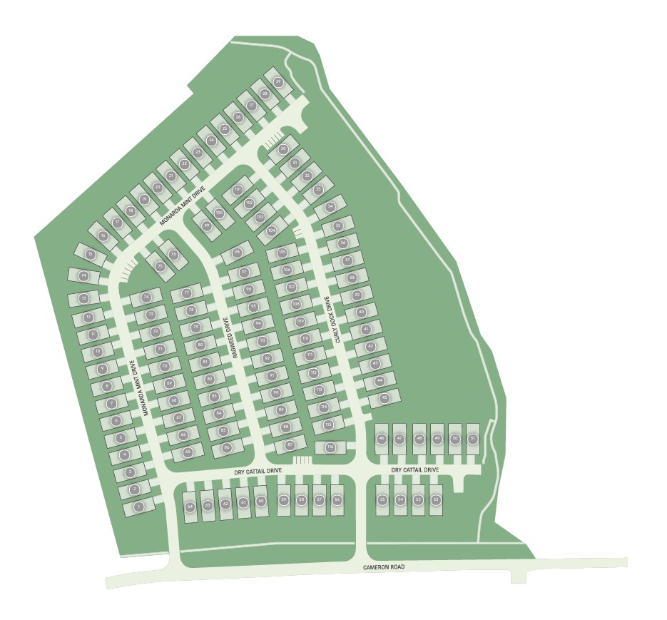 Cameron Place site plan