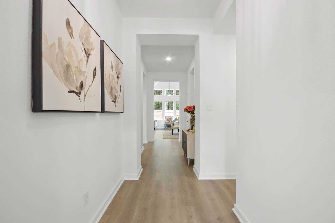 60ft. Lots Collection — collection image
