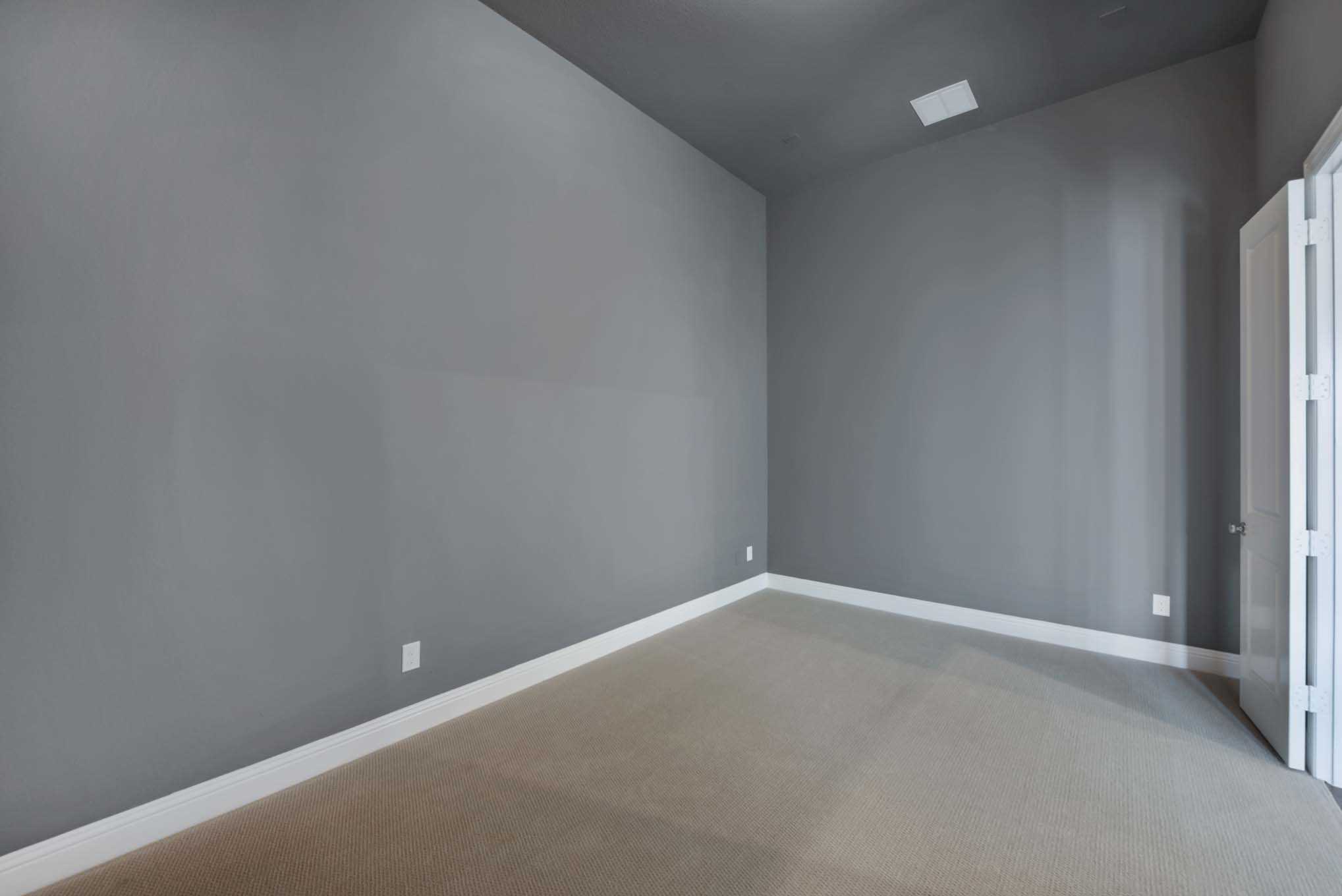 65ft. Lots Collection — collection image