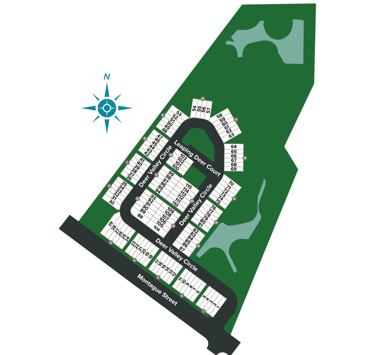 Montague Chase site plan