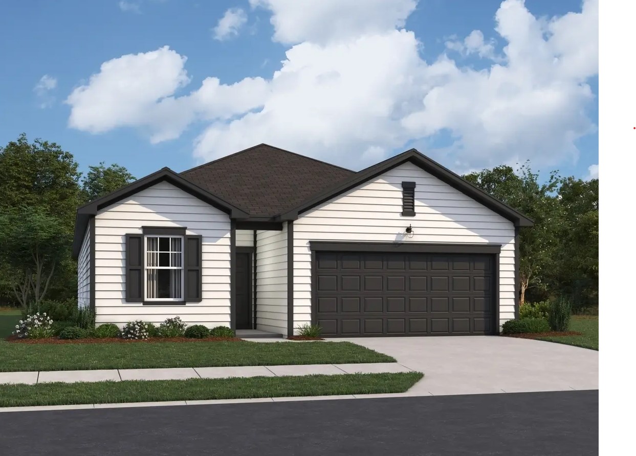 Project gallery image 14