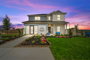 Project gallery image 5