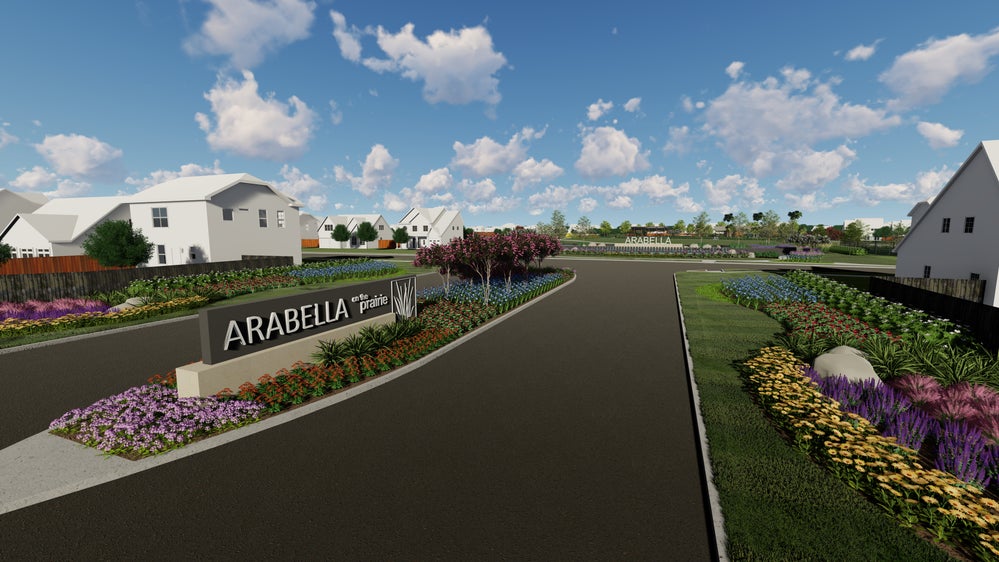 Project gallery image 6