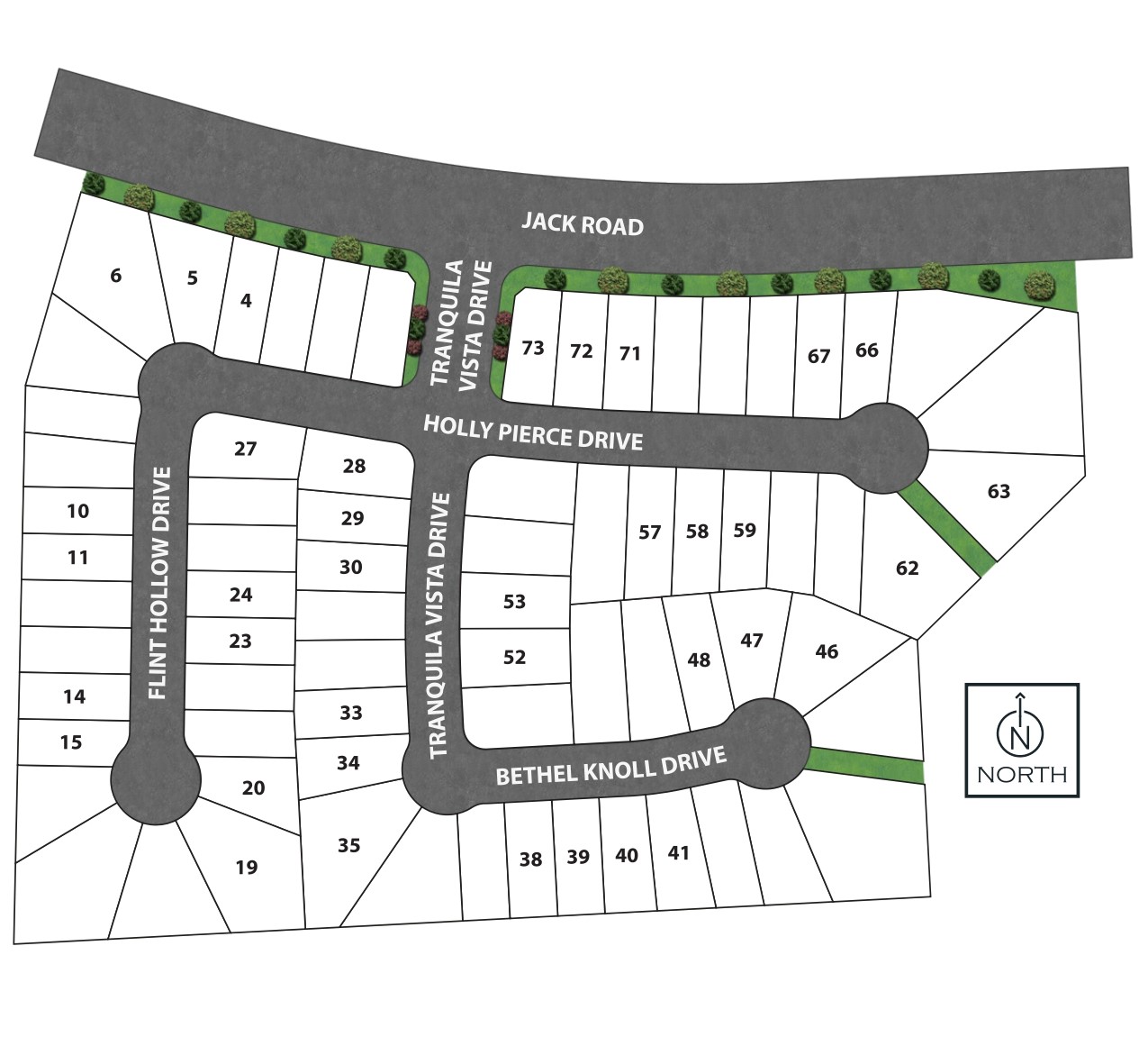 Dunham Pointe 50' site plan