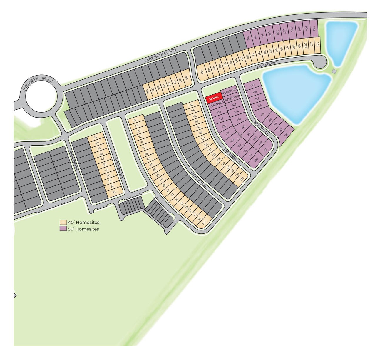Avalon Park Tavares site plan