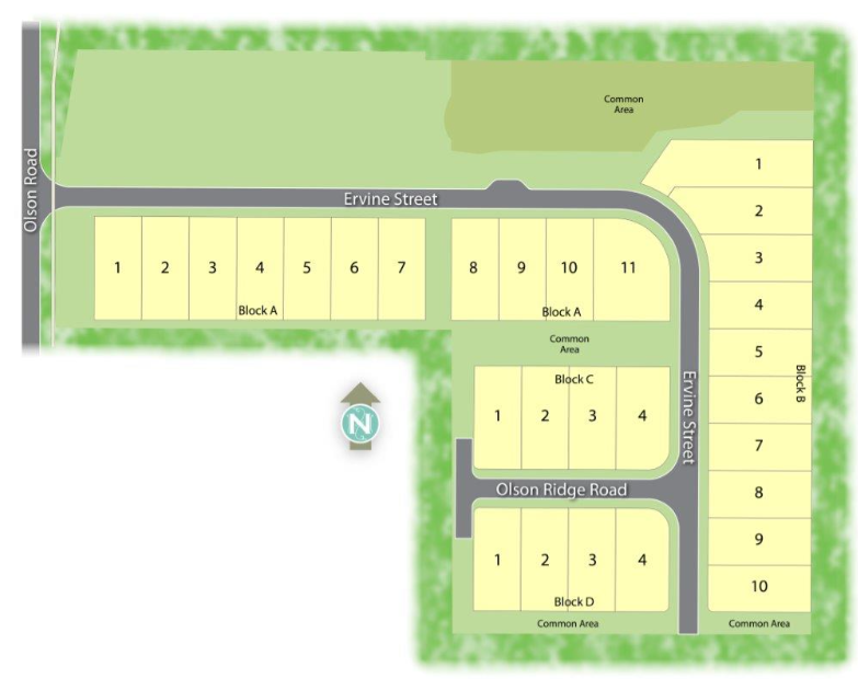 Olson Ridge site plan