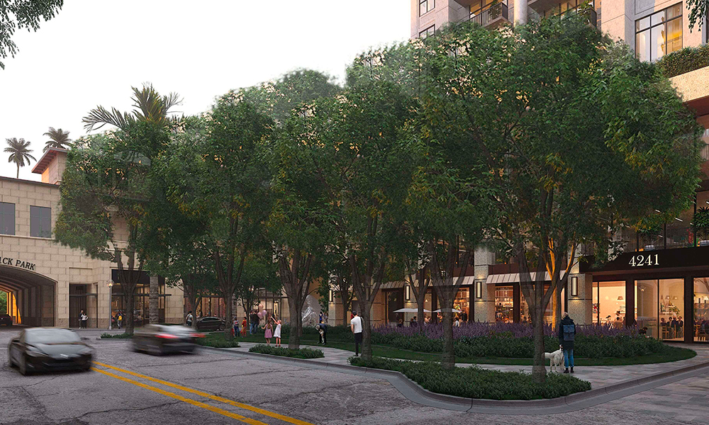 Project gallery image 13