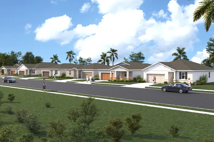 Project gallery image 7
