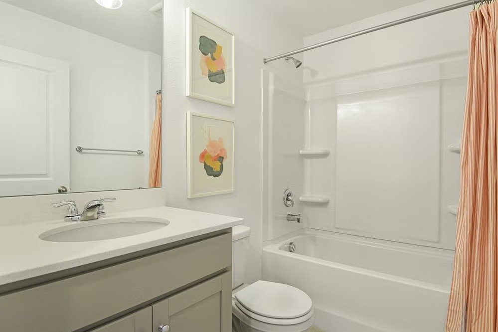 Project gallery image 15