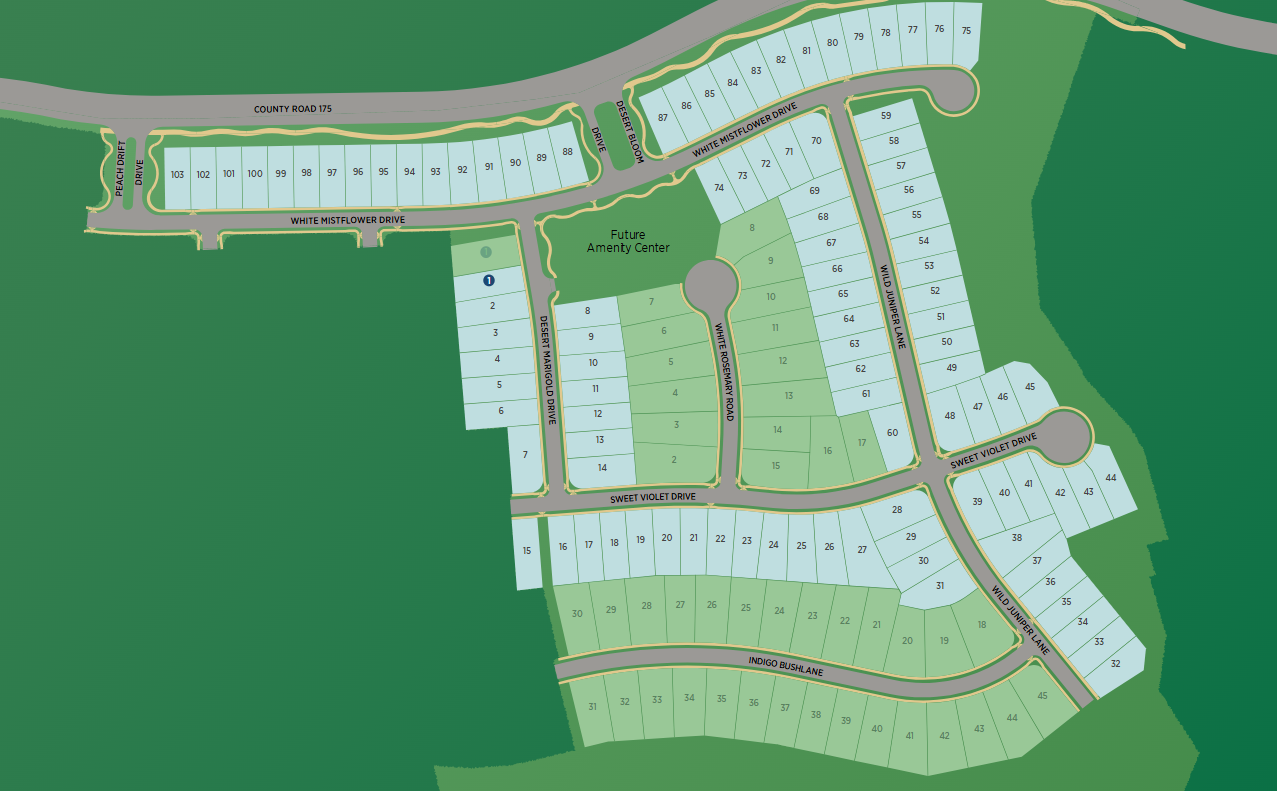 Wildspring site plan