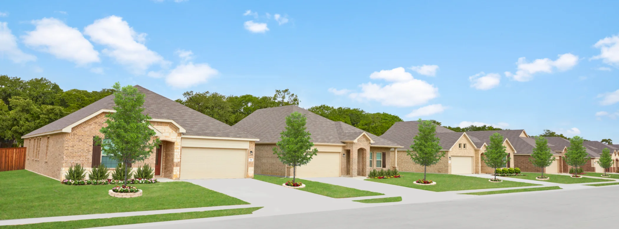 Project gallery image 6