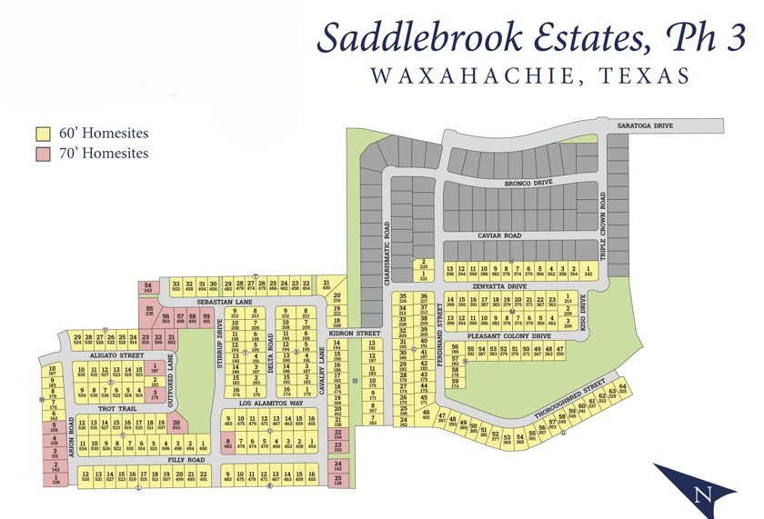 Saddlebrook site plan