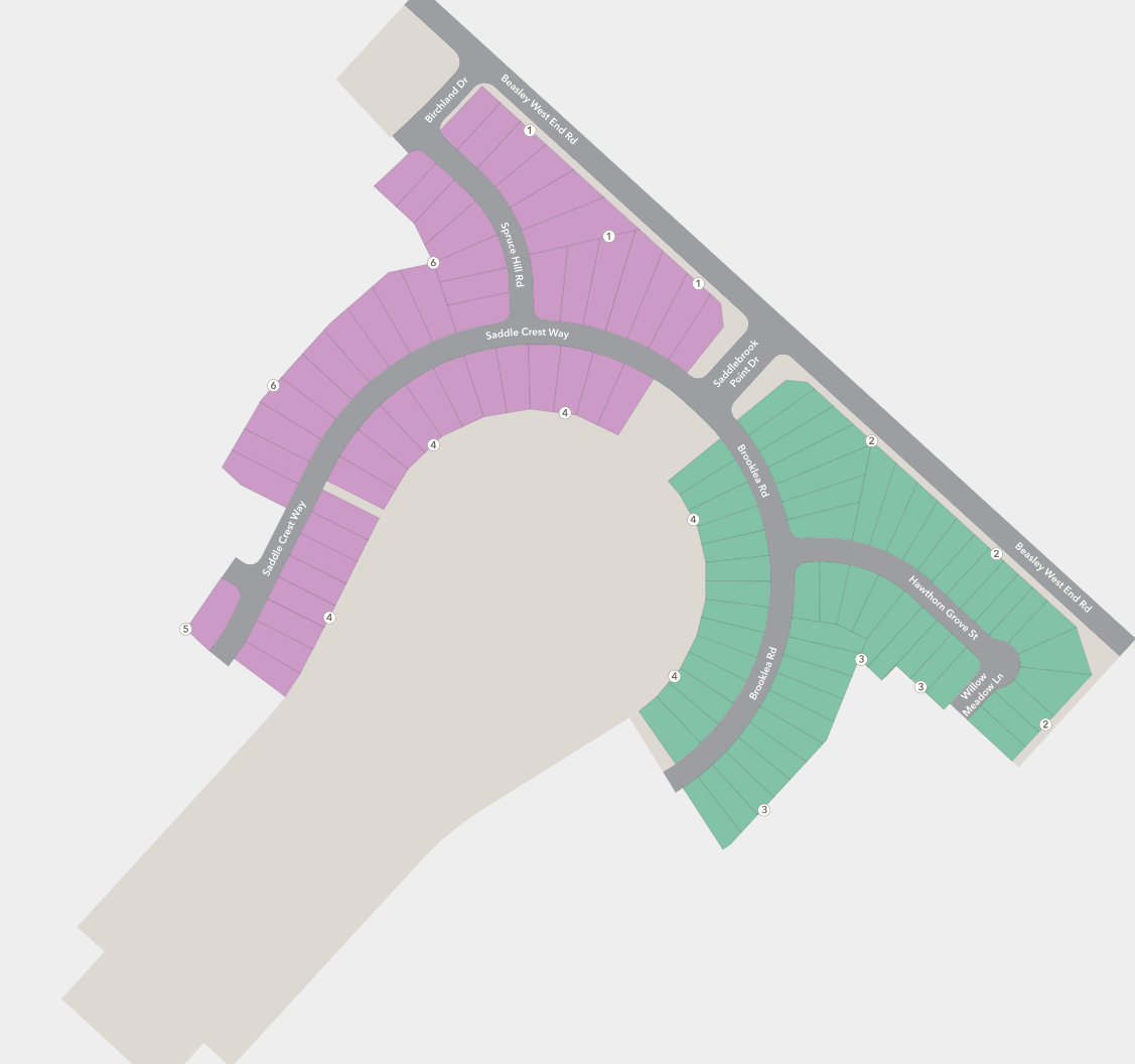 Saddlebrook Preserve site plan