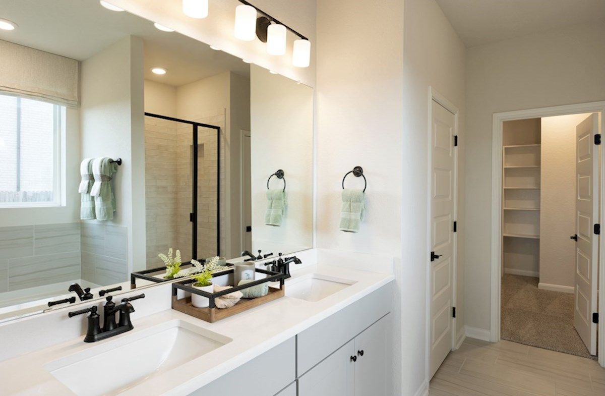 Project gallery image 11