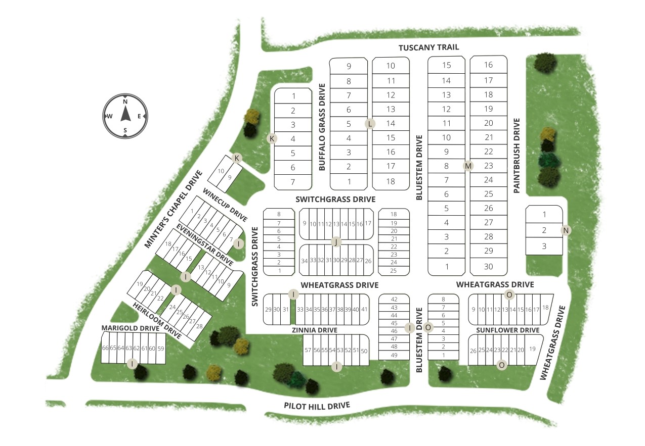 Watercolor site plan