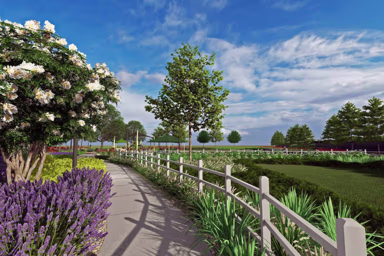 Project gallery image 8