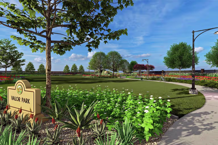 Project gallery image 14